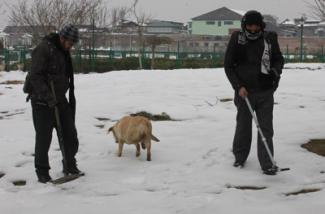 J&K Police Security Wing